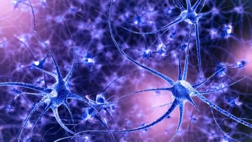 Qu’est-ce que le Neurofeedback thérapeutique ?